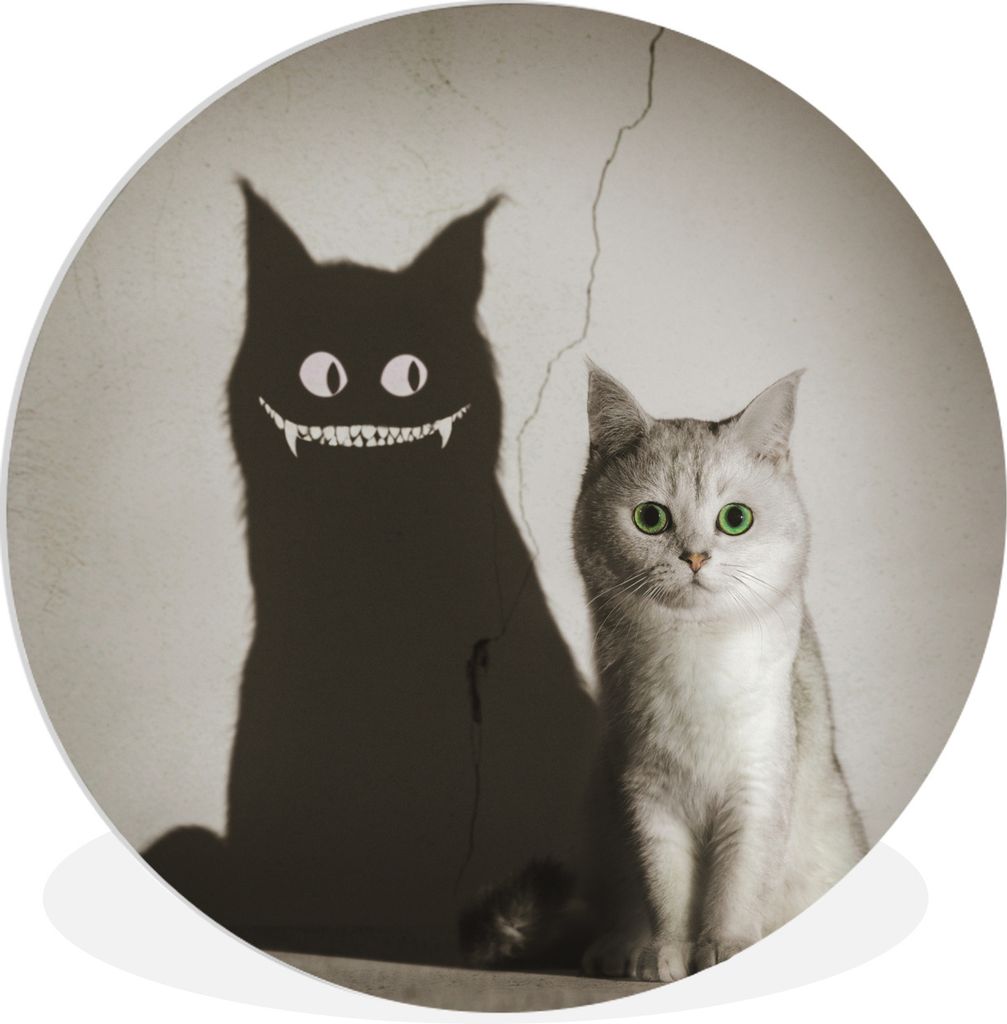 MuchoWow Rundes Wandbild - Runde Bilder Katze - Farbton - Weiß Ø 60 cm Kreis Wanddekoration Kunststoff - Wandkreis - Wandschmuck - Wand Kreis -...