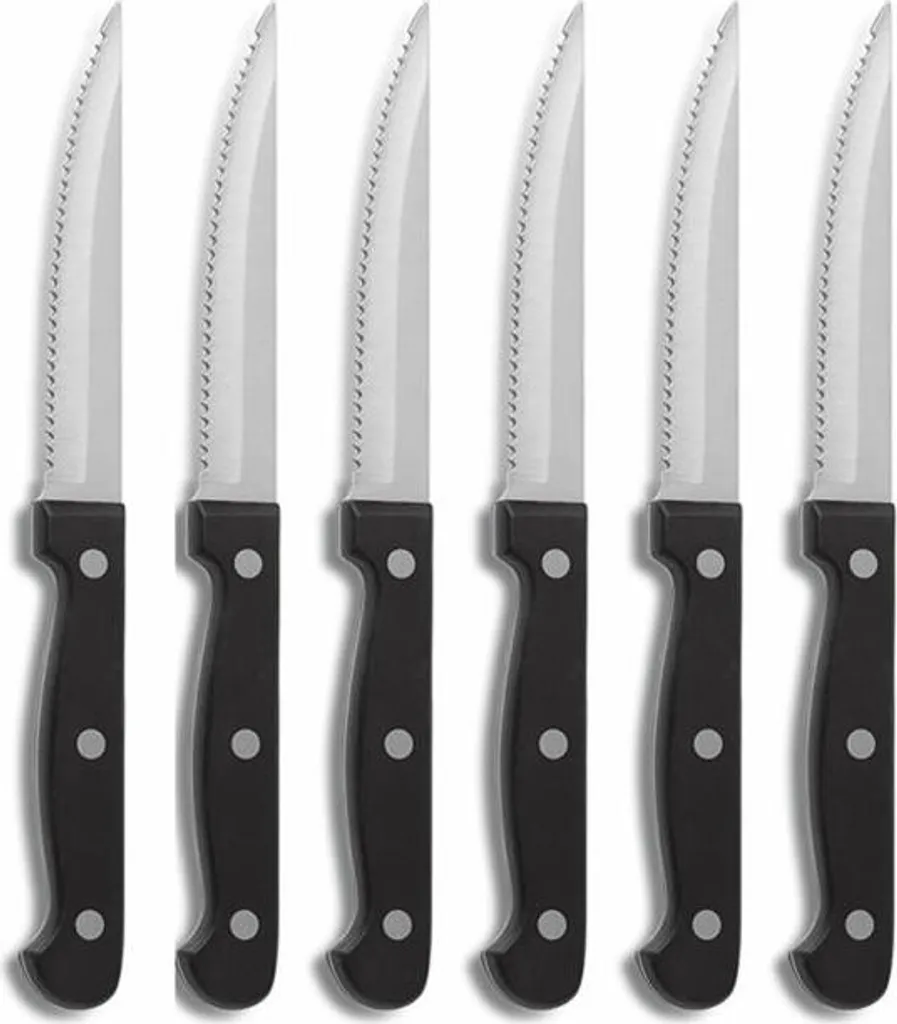 Set 12 Coltelli Carne Comas Eco 3004 Satinati Professionali