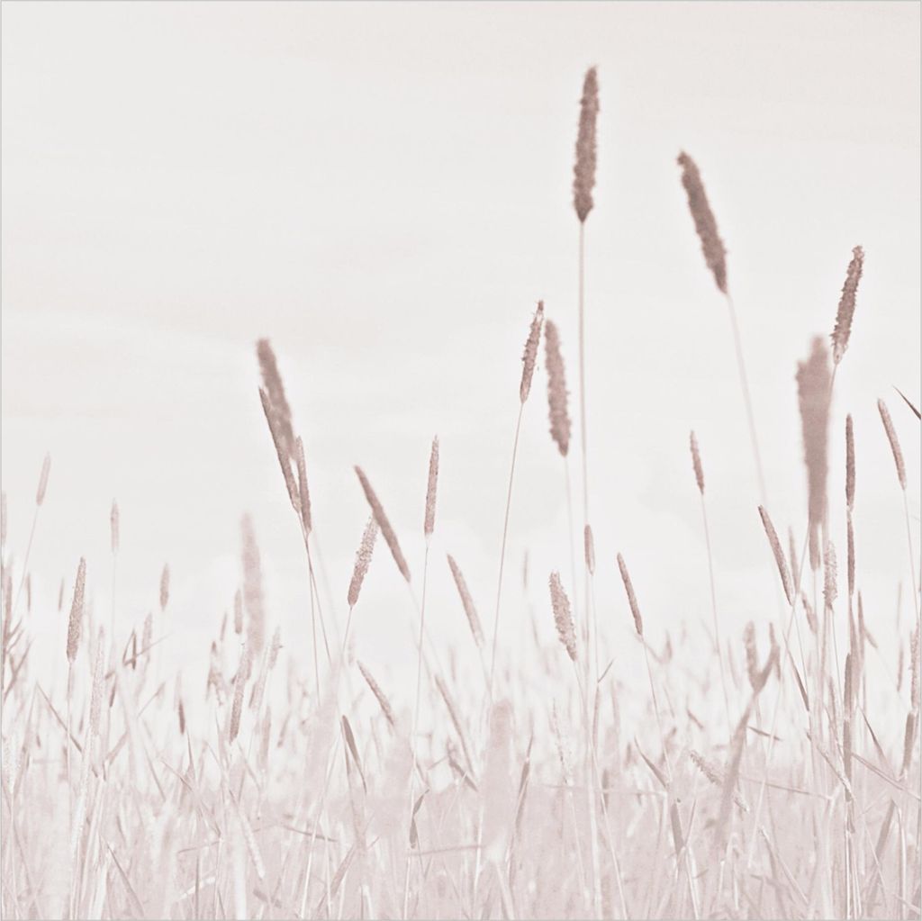 Fototapete Blumen - Vliestapete - Bildtapete UV-beständig Gräser beige Landhaus Wandtapete geruchsfrei
