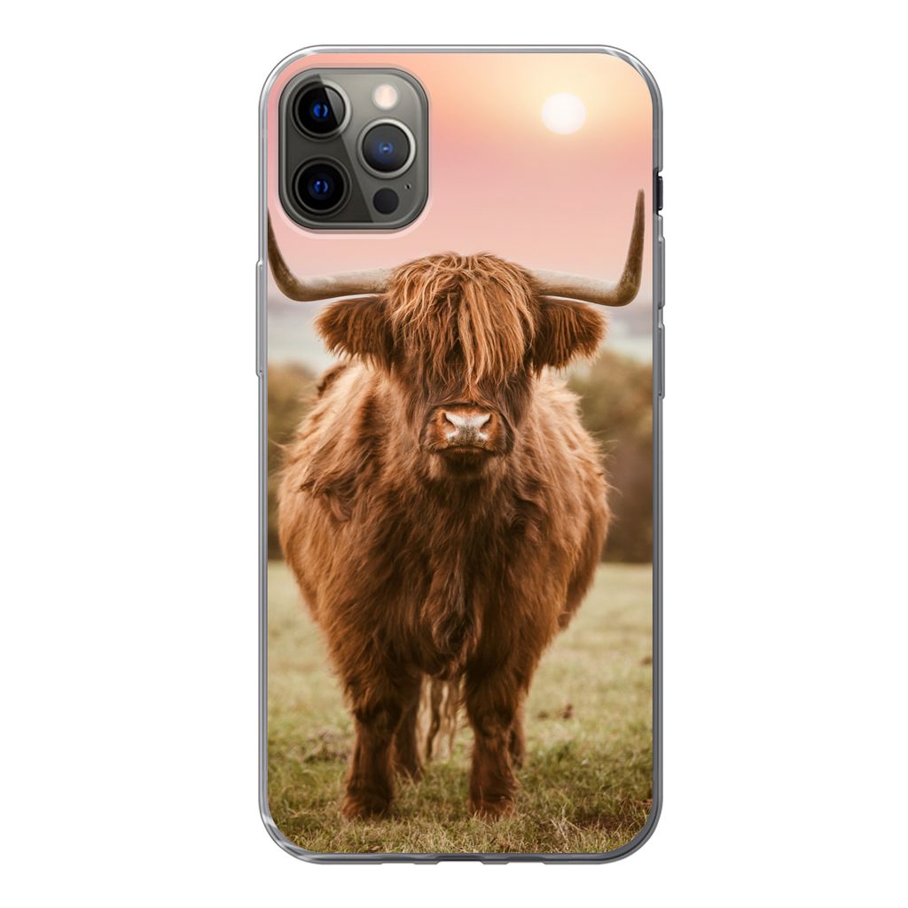 MuchoWow Handyhülle Schutzhülle Hülle für iPhone 12 Pro Max Schottischer Highlander - Sonne - Himmel Silikon Softcase Handy Hülle - Hartschale