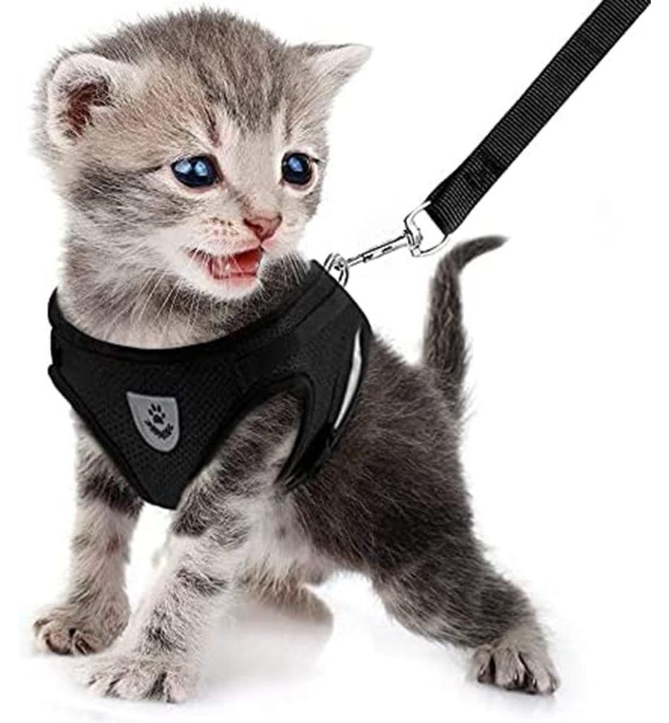 Katzen- Und Hunde-Gurt 1 Stück, Atmungsaktive Zugseilweste, Produktbild 