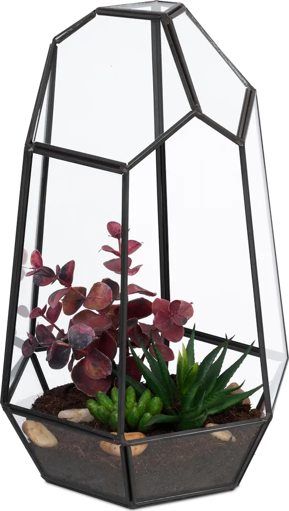 Relaxdays Terrarium Géométrique en Verre pour Plantes Succulentes 15cm