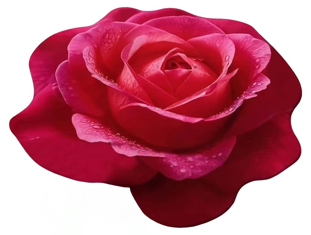 Kieselgur-Badematte, rutschfest, saugfähig, leicht zu reinigen, schnelltrocknend, unregelmäßiges Blumenmuster, Eingangsmatte F