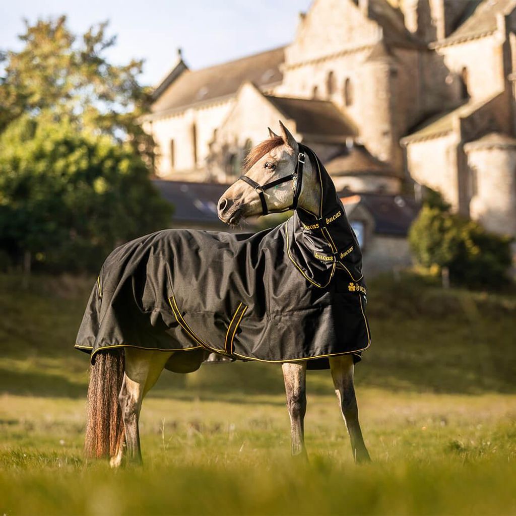 Bucas Outdoordecke 50g mit Halsteil Irish Turnout Light Regendecke Black/Gold 120