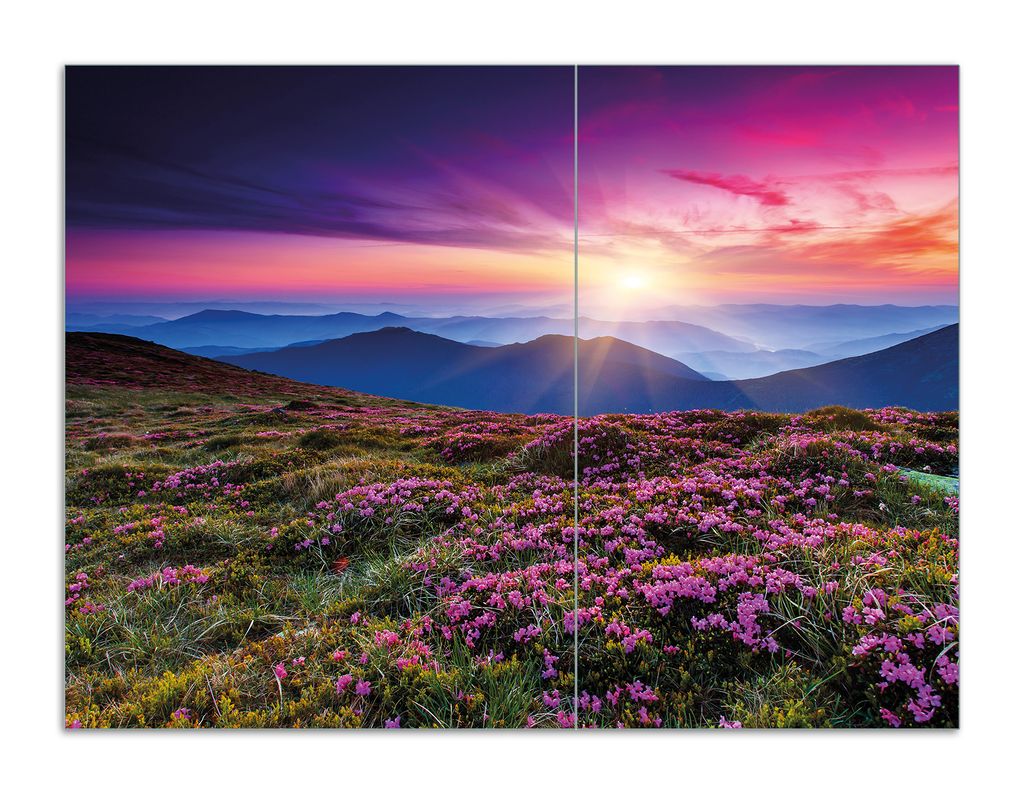 Wallario Herdabdeckplatte aus Glas, Größe 70 x 52 cm 2-teilig, Motiv Blumenbedeckte Wiese bei Sonnenuntergang