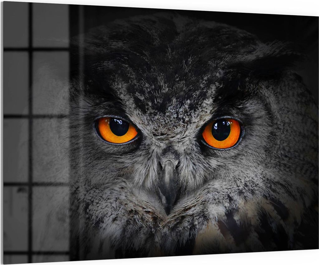 DEQORI Magnettafel Glas 120x90 cm 'Uhu schaut grimmig' beschreibbar Whiteboard