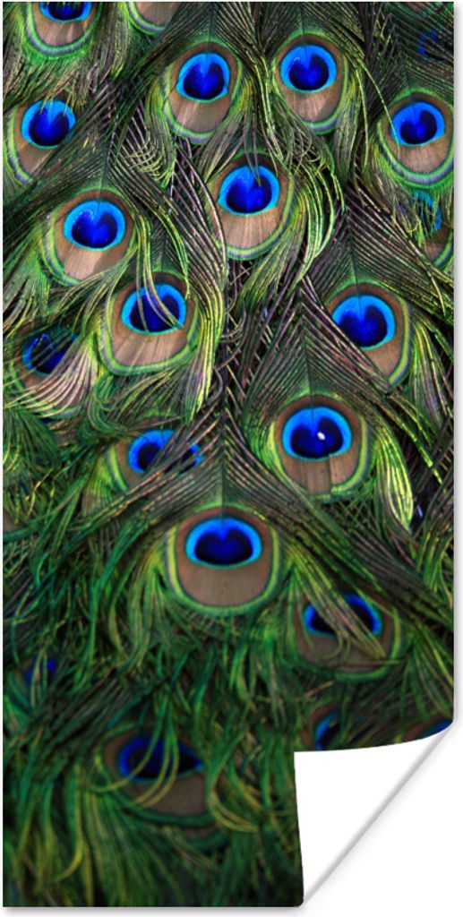 MuchoWow Poster Pfau - Federn - Augen - Blau 60x120 cm - Wandschmuck