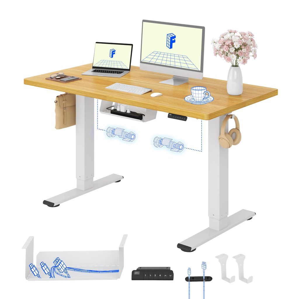 FLEXISPOT E1 Pro Elektrisch Höhenverstellbarer Schreibtisch Produktbild 
