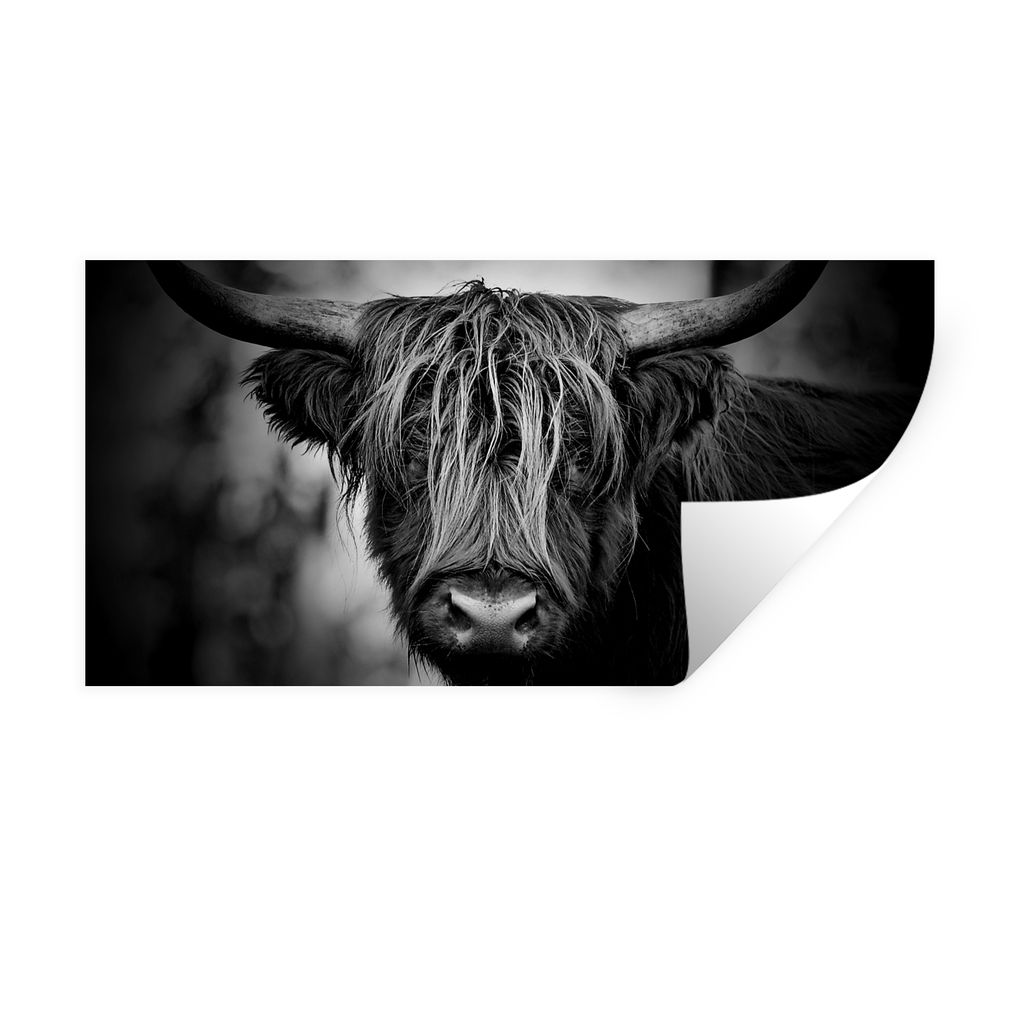 MuchoWow Wandtattoo Wandsticker Wandaufkleber Schottischer Hochländer - Licht - Porträt - Natur 120x60 cm Selbstklebend und Repositionierbar - ...