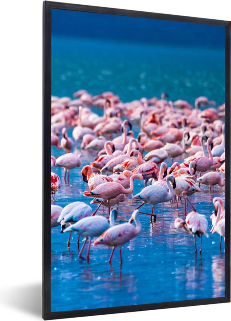MuchoWow Gerahmtes Poster Flamingo - Wasser - Tropisch - Rosa 20x30 cm - Poster mit Schwarzem Bilderrahmen Wandposter Rahmen Foto Bilder - Drucke...