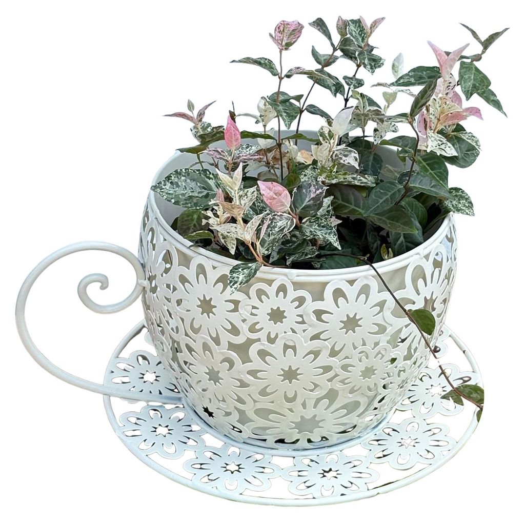 Vintage Teetassen-Pflanzgefäß aus Eisen mit floralem Ausschnitt, dekorativer Blumentopf für Sukkulenten, Kräuter und Blumen, für drinnen und d...