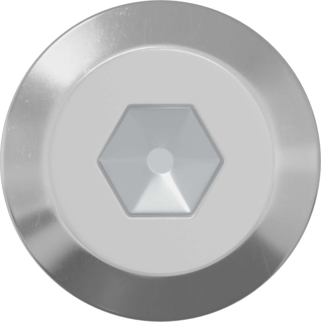 vidaXL Schraube 2 pcs Silber M6 x 60 mm Stahl