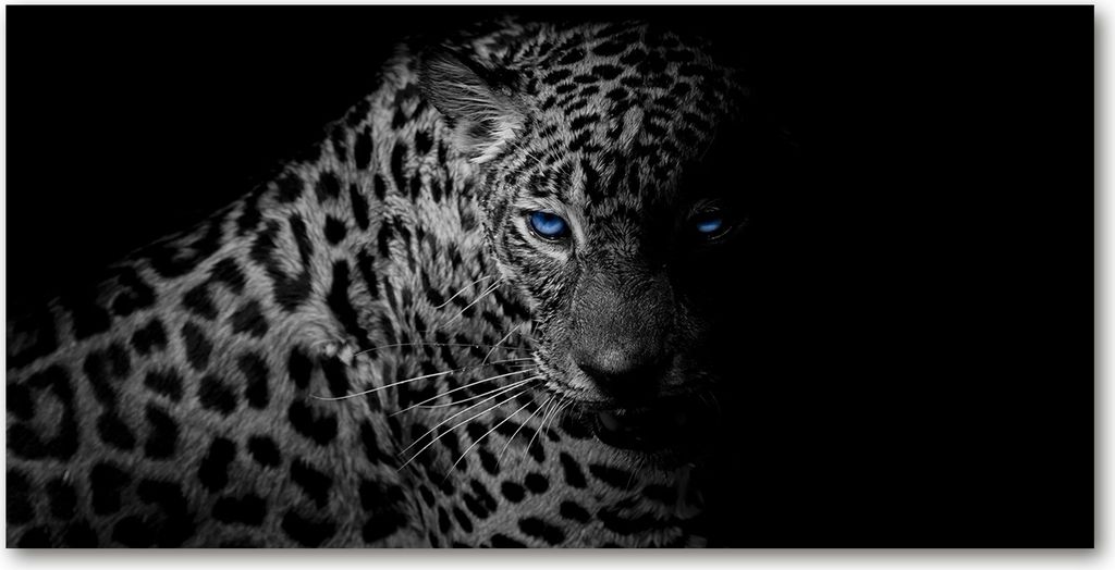 Tulup Glas-Bild - 100x50 -Wandkunst - Wandbild hinter gehärtetem Sicherheitsglas - Tiere - Leopard - Schwarzweiß