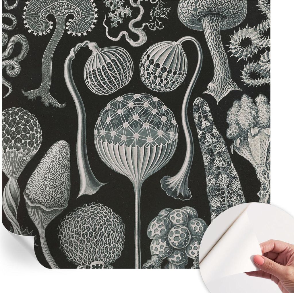 Selbstklebende Wandtapete - Dekorative Tapete für Wohnzimmer - Klebefolie für Wandbilder - Tapetenfolie für Wanddekoration - 250x250 cm - Magisc...