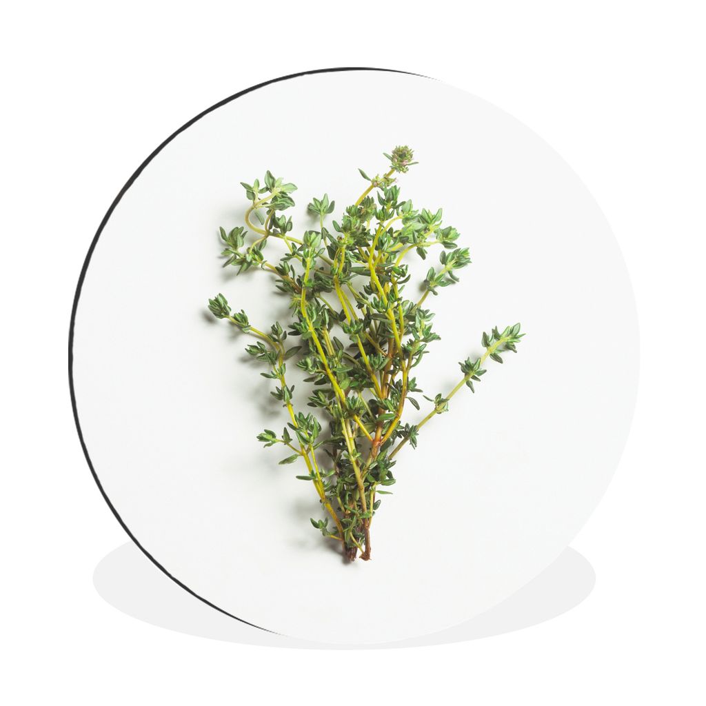 MuchoWow Aluminium Wandkreis Strauß frischer Thymiankräuter auf weißem Hintergrund Ø 30 cm Wanddeko Modern Wohnzimmer - Wand Bild - Wohnzimme...