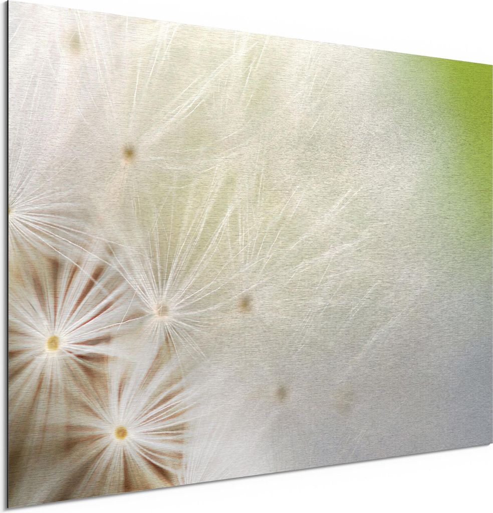 DEQORI Alu-Dibond Bild Silber 60x40 cm 'Pusteblume ganz nah' Wandbild Metall dünn Design
