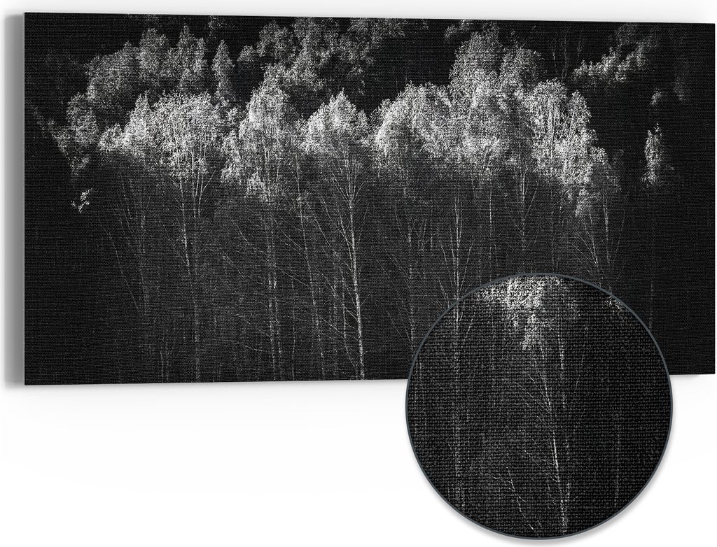 DEQORI Hybrid Leinwand Bild 60x30 cm 'Stille des Waldes' Produktbild 