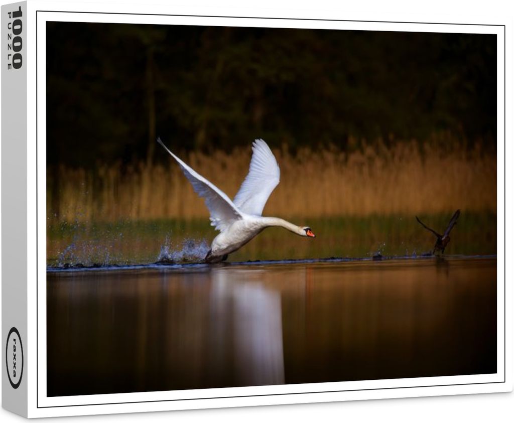 raxxa Premium-Puzzle "Schwan Abflug", 1000 Teile