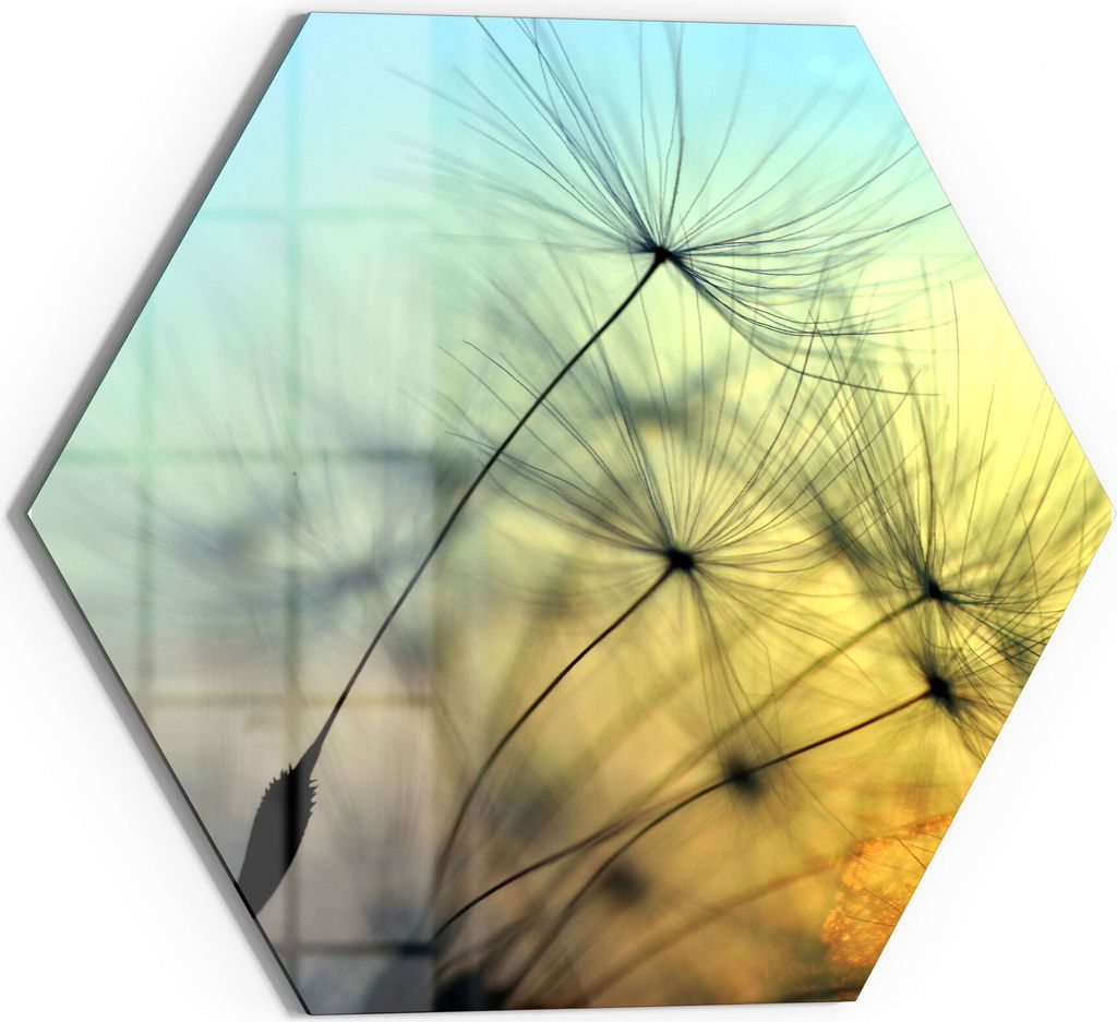 DEQORI Magnettafel Glas 55x48 cm 6-eckig 'Schirmchen in Abendsonne' beschreibbar Whiteboard