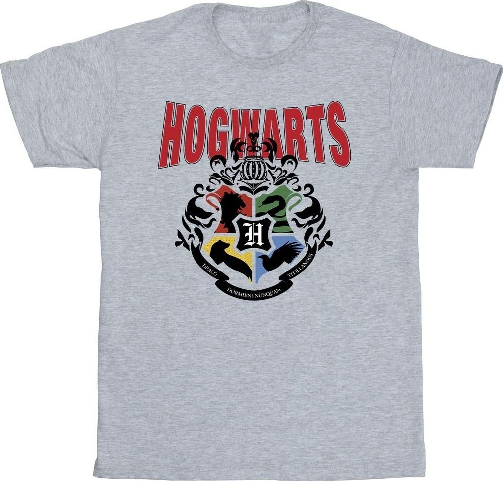 Harry Potter - "Hogwarts" T-Shirt für Herren BI30718 (3XL) (Grau)