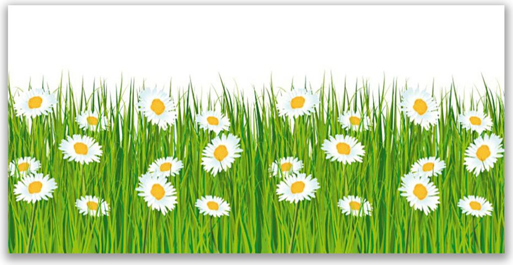 Tulup Leinwand-Bilder 140x70 Wandbild Canvas Kunstdruck Gras Gänseblümchen Natur
