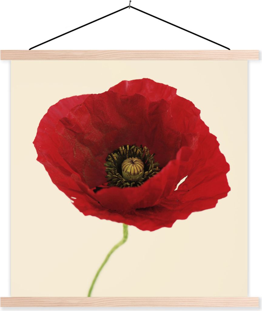 MuchoWow Textilposter Nahaufnahme einer roten Mohnblume 120x120 cm mit holzfarbenen Rahmen - Textil-Poster