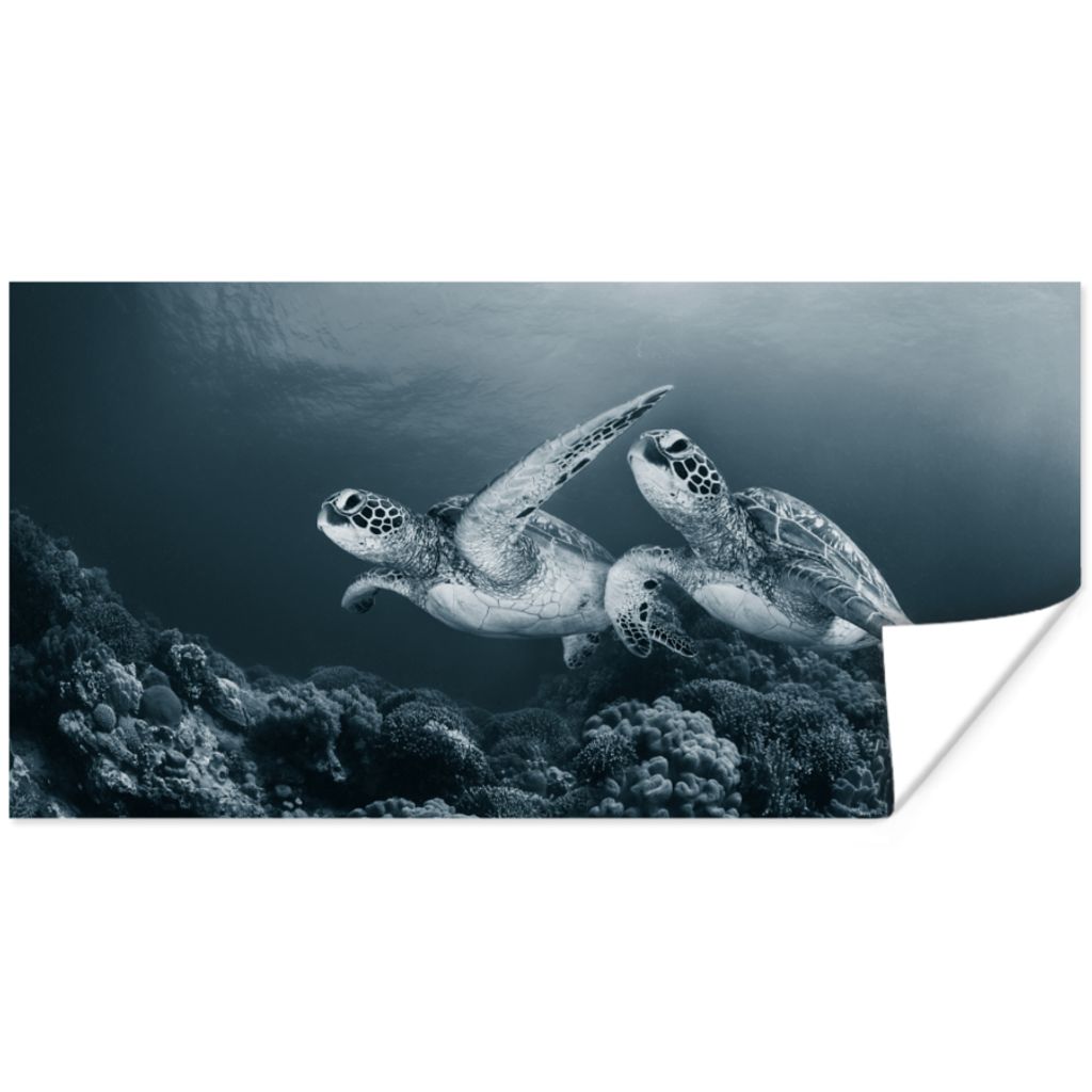 MuchoWow Poster Schildkröte - Meerestiere - Schwarz und weiß - Wilde Tiere 150x75 cm - ohne Rahmen
