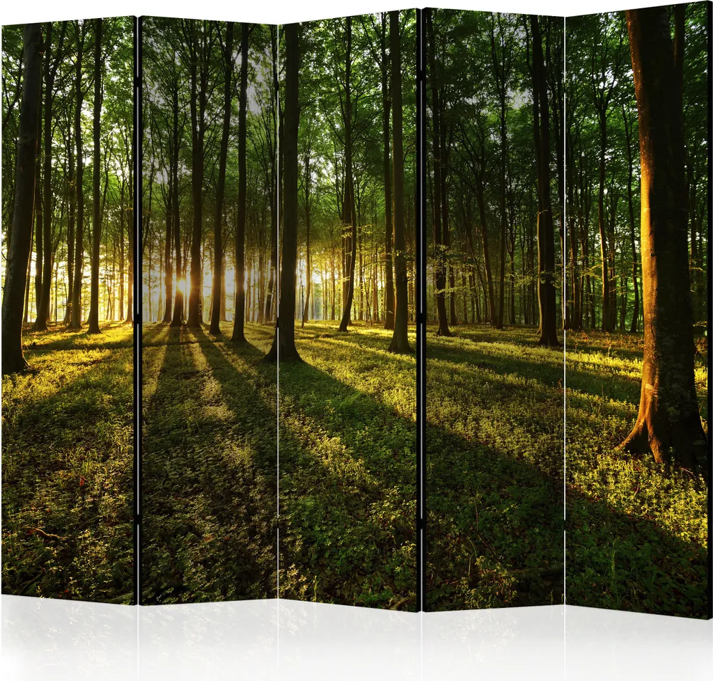 Séparateur de pièce XXL pour bureau et salon Motif Forêt 225x172 cm