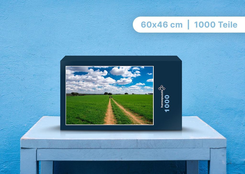 hansepuzzle 106459 - Feldweg Puzzle, 1000 Teile, Natur, 60,0 x 46,0cm mit hochwertiger Aufbewahrung, Kartonbox und wiederverschließbarem Beutel