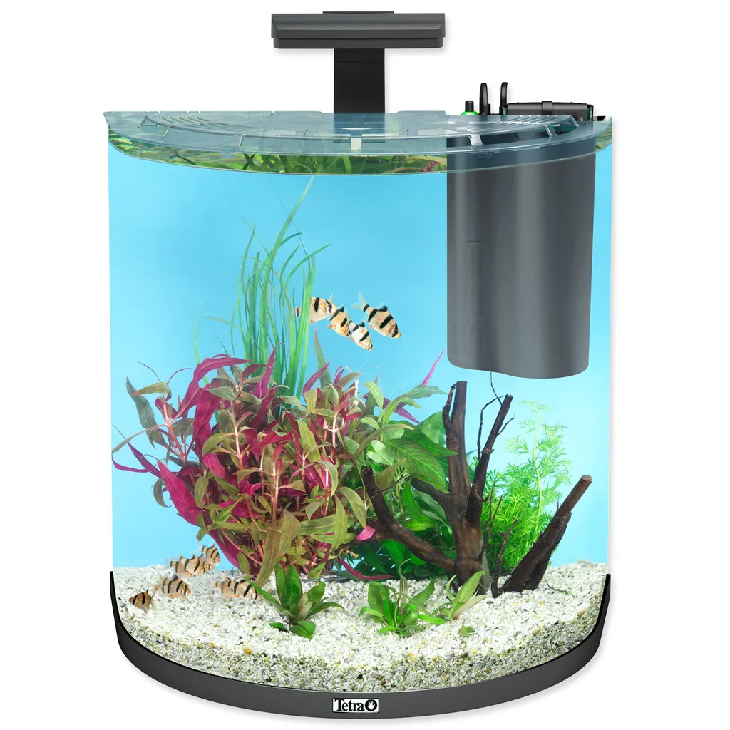 AquaArt Explorer aquarium set 50 x 32 x 50 cm 60 l avec vitre bombée