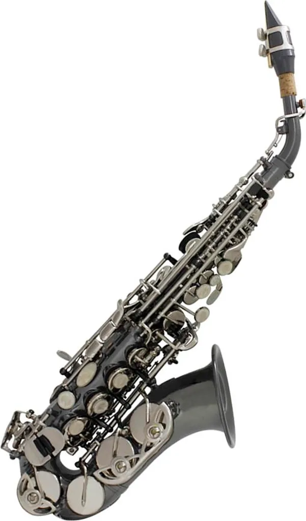 Saxophone Numérique Soprano Compact avec Kit d'Entretien et Sac Offert