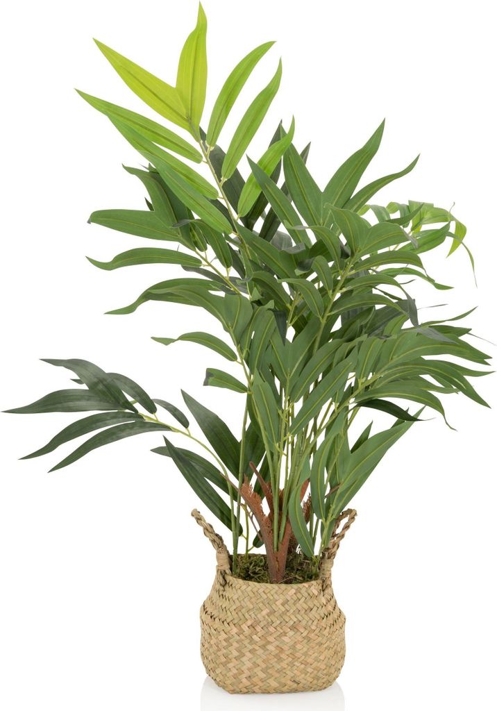 bümö plants Kunstpflanze Bergpalme (Bambuspalme)