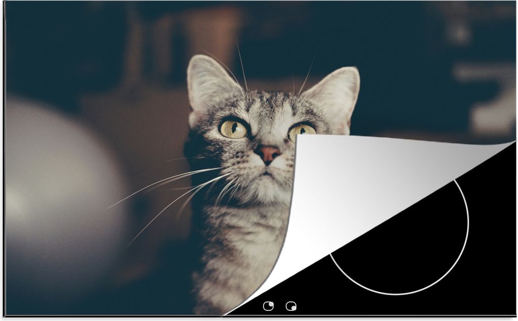 KitchenYeah Herdabdeckplatte Katze - Tiere - Porträt , 81x52cm, Küche Deko, Glaskeramikkochfeld Herdabdeckung, Abdeckplatte fùr Kochfeld