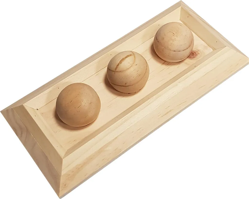 Recensione Gioco Legno Duvo+ Fay: Il Puzzle Preferito dai Miei Roditori