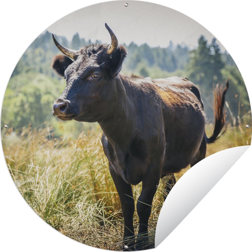 MuchoWow Gartenposter Outdoor-Poster Rund Ein Stier in einem gelben Feld Ø 150 cm Gartendeko Rundes Poster draußen