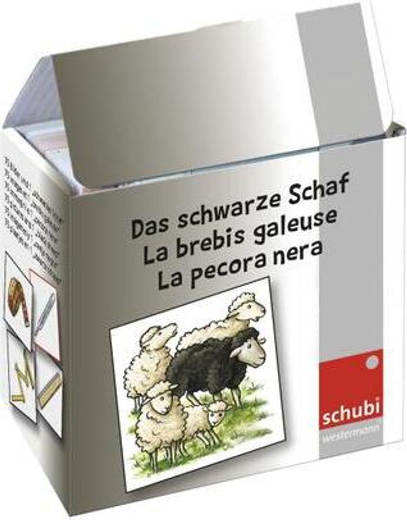 SCHUBI Lernmedien Das schwarze Schaf Lernspiel 76 Bildkarten 9x9 cm für Deutsch ab 3. Klasse