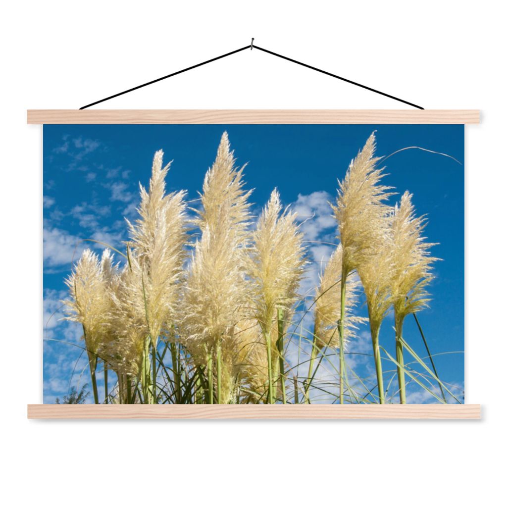 MuchoWow Textilposter Pampasgras - Pflanze - Natur 60x40 cm mit holzfarbenen Rahmen - Bilder