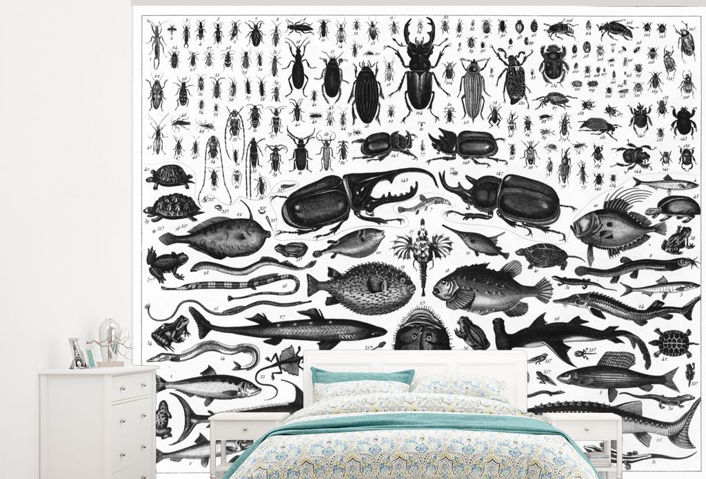 MuchoWow Fototapete für Wohnzimmer oder Schlafzimmer Wandtapete Vinyl Motivtapete Schwarz-Weiß-Abbildung von vielen Fischarten - 375x300 cm - T...
