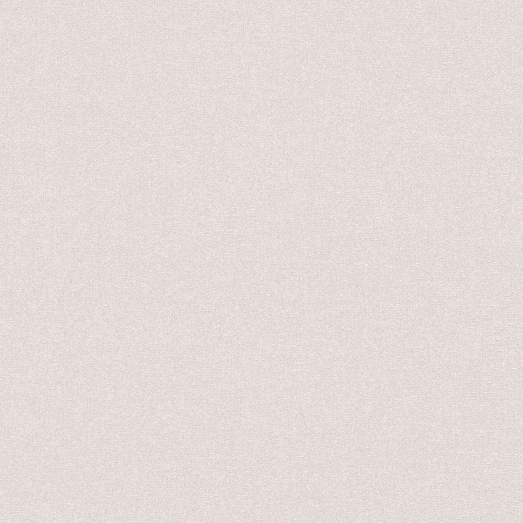A.S. Creation | Terra | 389253 | Vliestapete | Einfarbig | 10.05 x 0.53 m | Beige | Wohnzimmer | Flur | Büro | Küche | Wohnräume
