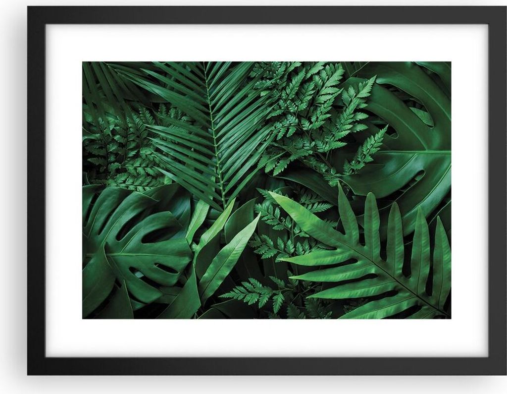Gerahmtes Poster - Schwarzer Rahmen - Exotisch Blätter Monstera - 40x30 cm - Wand Bild - Wanddeko - Wandbilder - Kunstposter - Wandposter - Bilder...