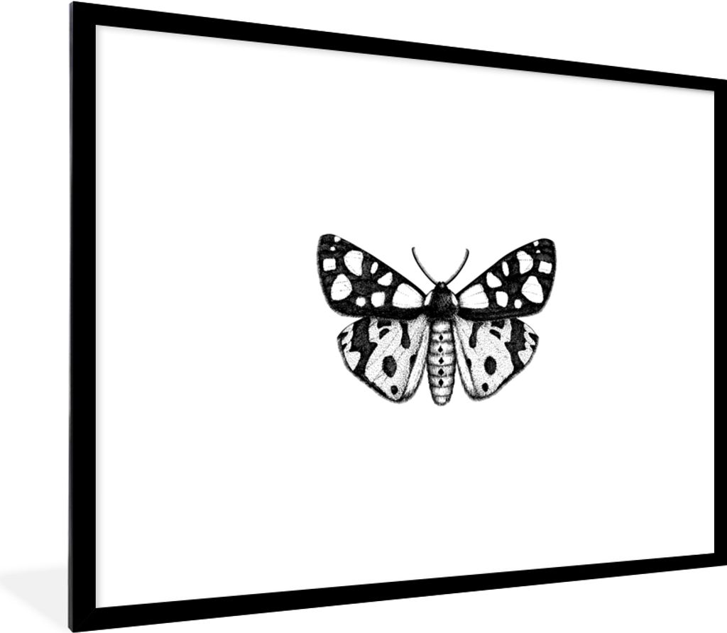 MuchoWow Gerahmtes Poster Schmetterling - Vintage - Schwarz und weiß 80x60 cm - Poster mit Schwarzem Bilderrahmen Wandposter Rahmen Foto Bilder ...