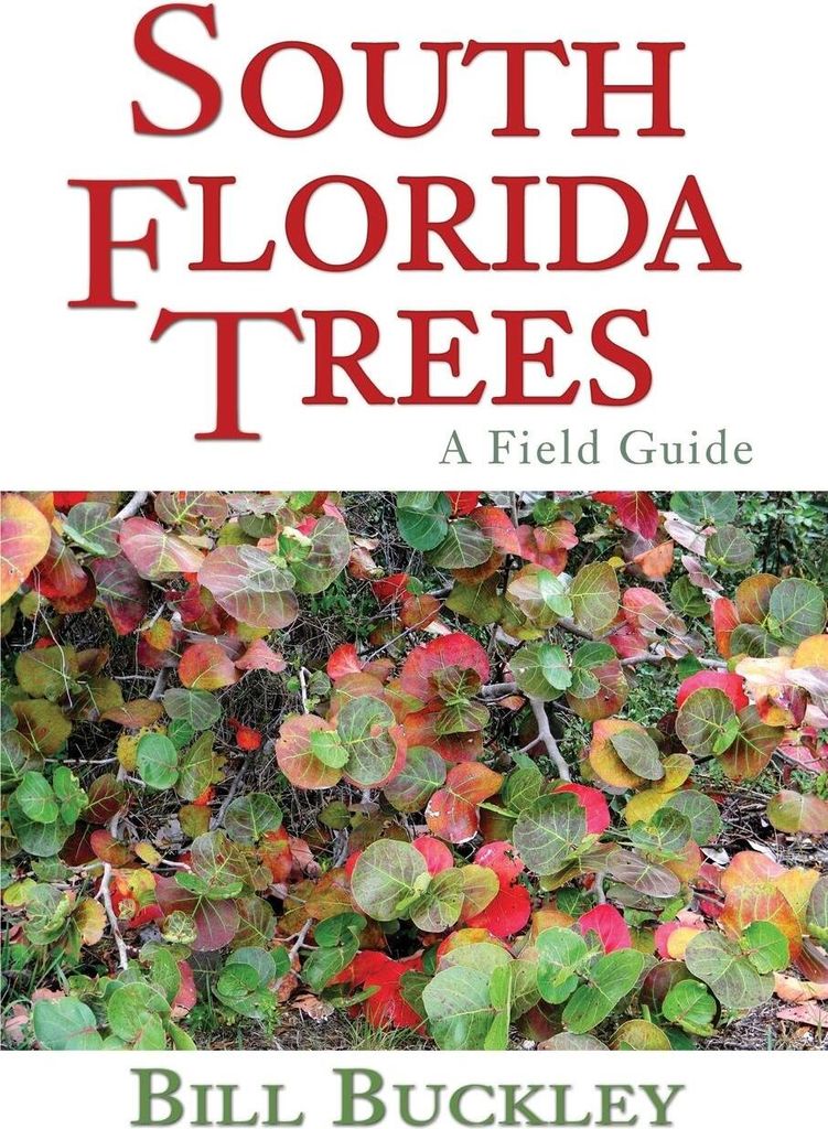 South Florida Trees