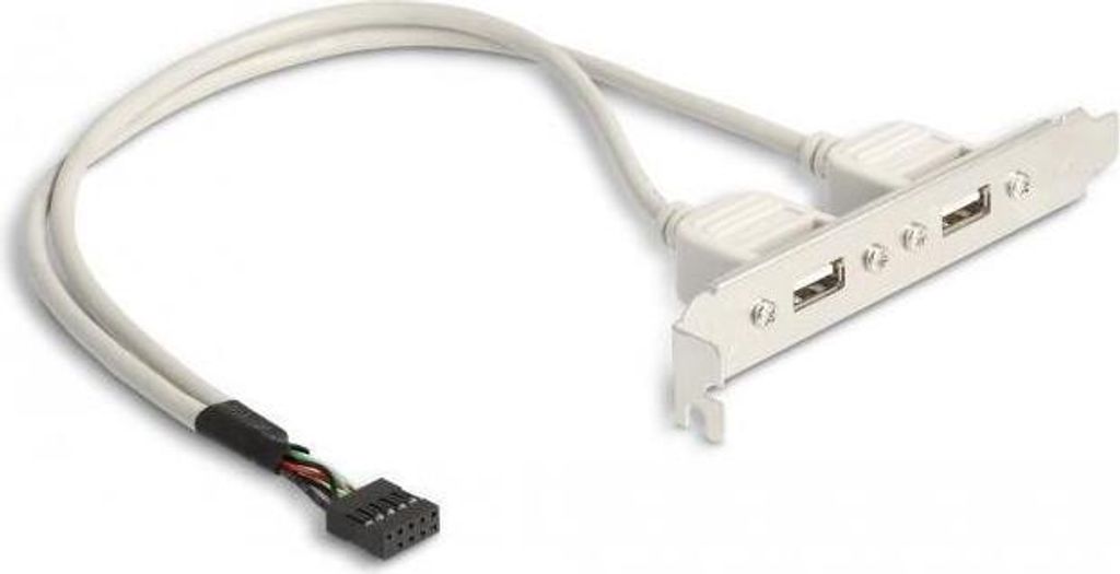 Delock Slotblech 2x USB2.0 extern