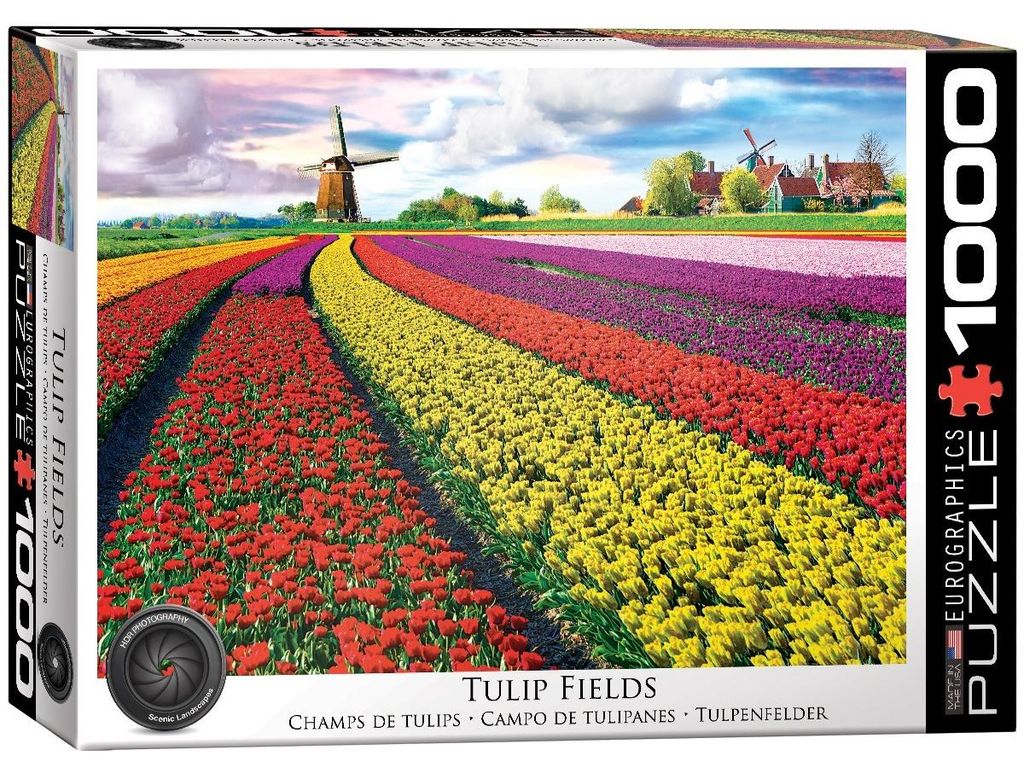 EUROGRAPHICS Tulpenfeld-Puzzle (HDR) 1000 Teile Produktbild 