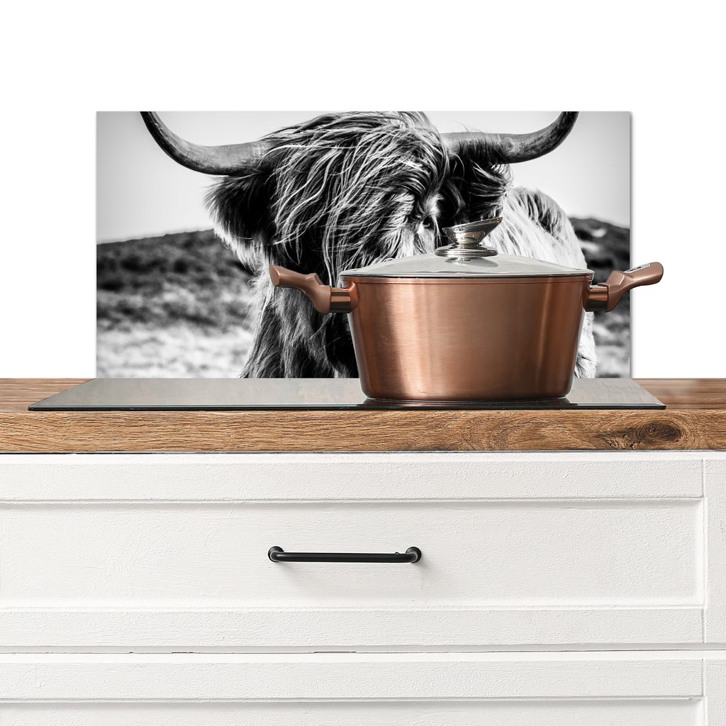 KitchenYeah Spritzschutz Küche - Küchenrückwand - Wandschutz für Herd und Spüle - Schottisches Hochlandrind - Natur - Kuh - Schwarz - Weiß ...