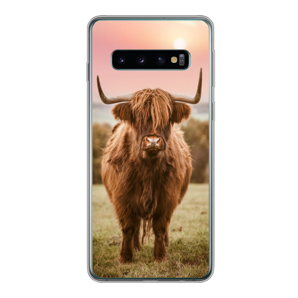 MuchoWow Handyhülle Schutzhülle Hülle für Samsung Galaxy S10 Schottischer Highlander - Sonne - Himmel Silikon Softcase Handy Hülle - Handyta...