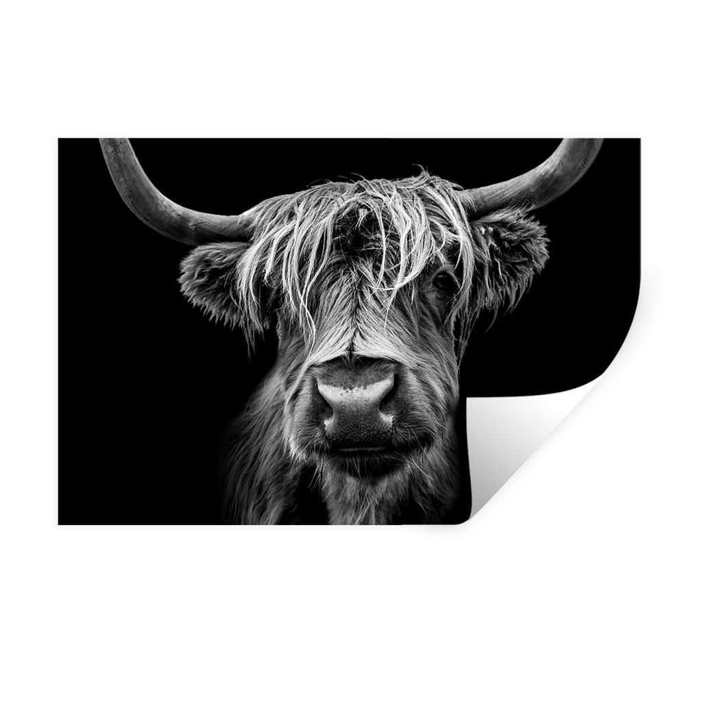 MuchoWow Wandtattoo Wandsticker Wandaufkleber Schottischer Highlander - Hörner - Schwarz - Weiß - Kuh - Wild - Tiere 90x60 cm Selbstklebend und...