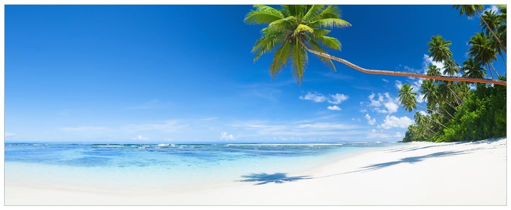 Wallario Wandbild aus Acryl, 200 x 80 cm, freischwebende Optik - Weißer Sandstrand am Meer - Ein Traum unter Palmen