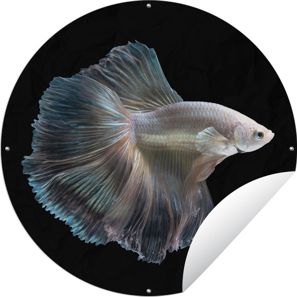 MuchoWow Gartenposter Outdoor-Poster Rund Fisch - Schwanz - Weiß Ø 60 cm Gartendeko Rundes Poster draußen