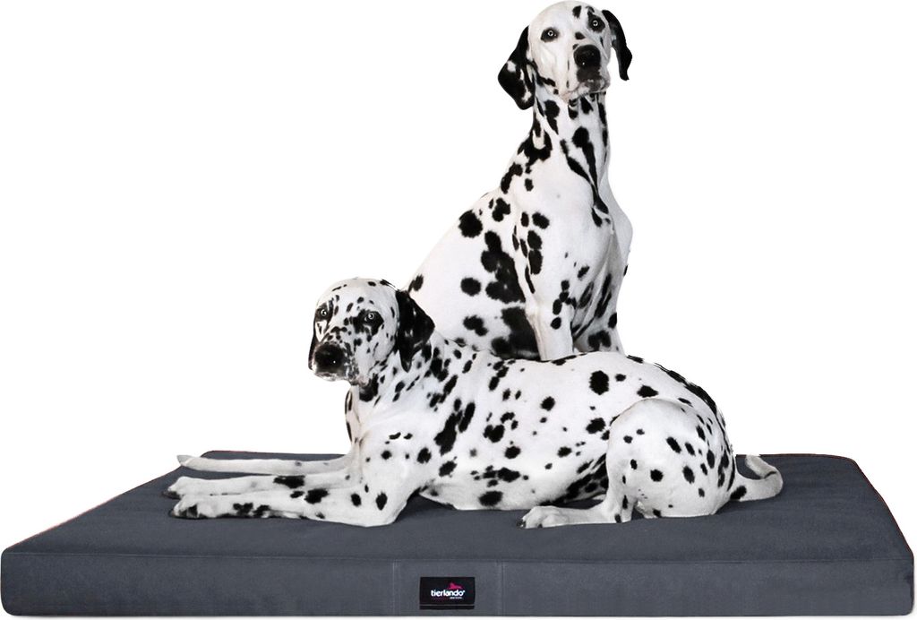 tierlando Orthopädische Hundematratze ALICE VISCO Hundematte Hundebett S - XXL - Größe: 80x60cm | Farbe: 02 Graphit